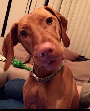 Photo by Patti Oskvarek